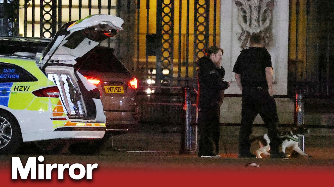 Man Arrested Outside Buckingham Palace | Uk News