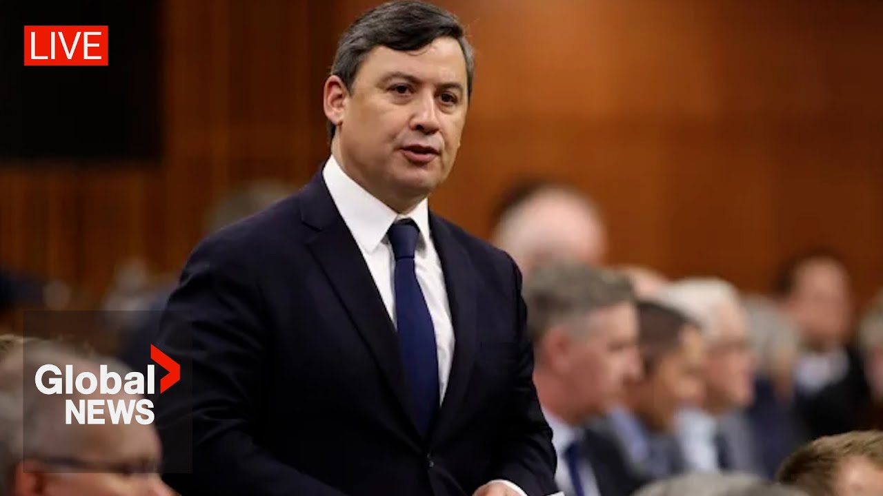 Mp Michael Chong Testifies On Allegations China Targeted His Family | Live