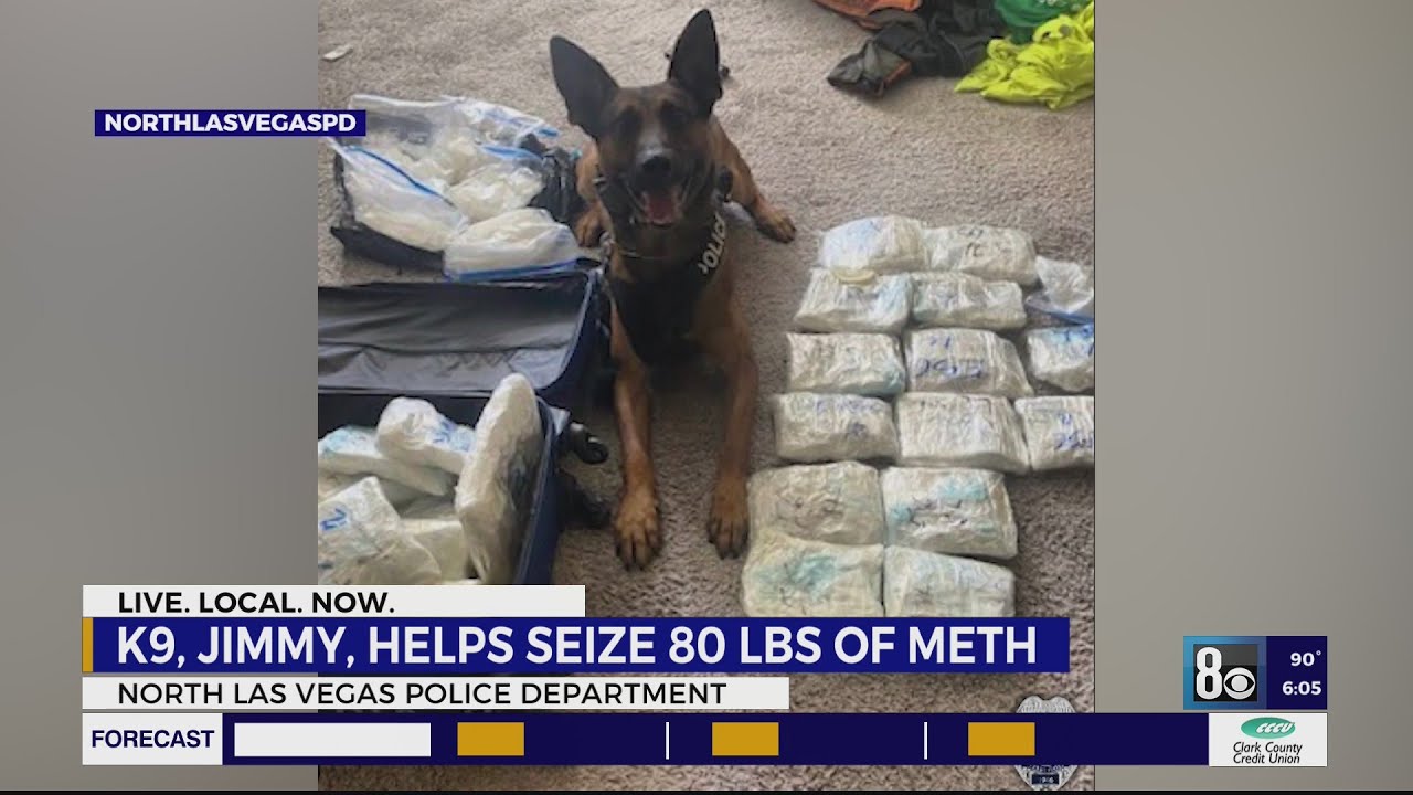 North Las Vegas K9 Assists In Drug Bust, 80 Pounds Of Meth Seized