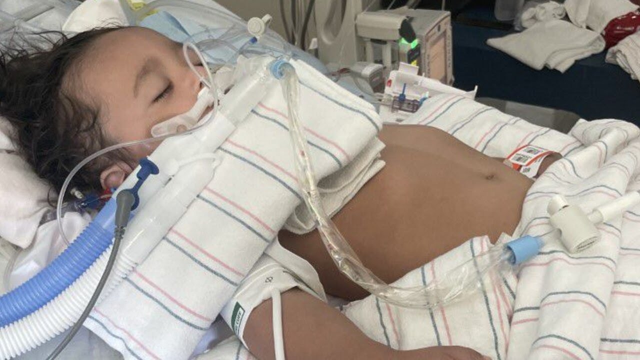 Northwest Las Vegas Toddler In Icu Recovering From Scorpion Sting