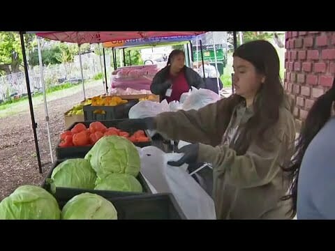 Oakland teachers strike prompts parent to provide alternate education