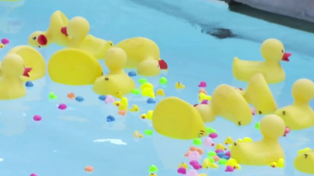 Pathway Homes Hosts Kissimmee Duck Race To Benefit Homeless Population