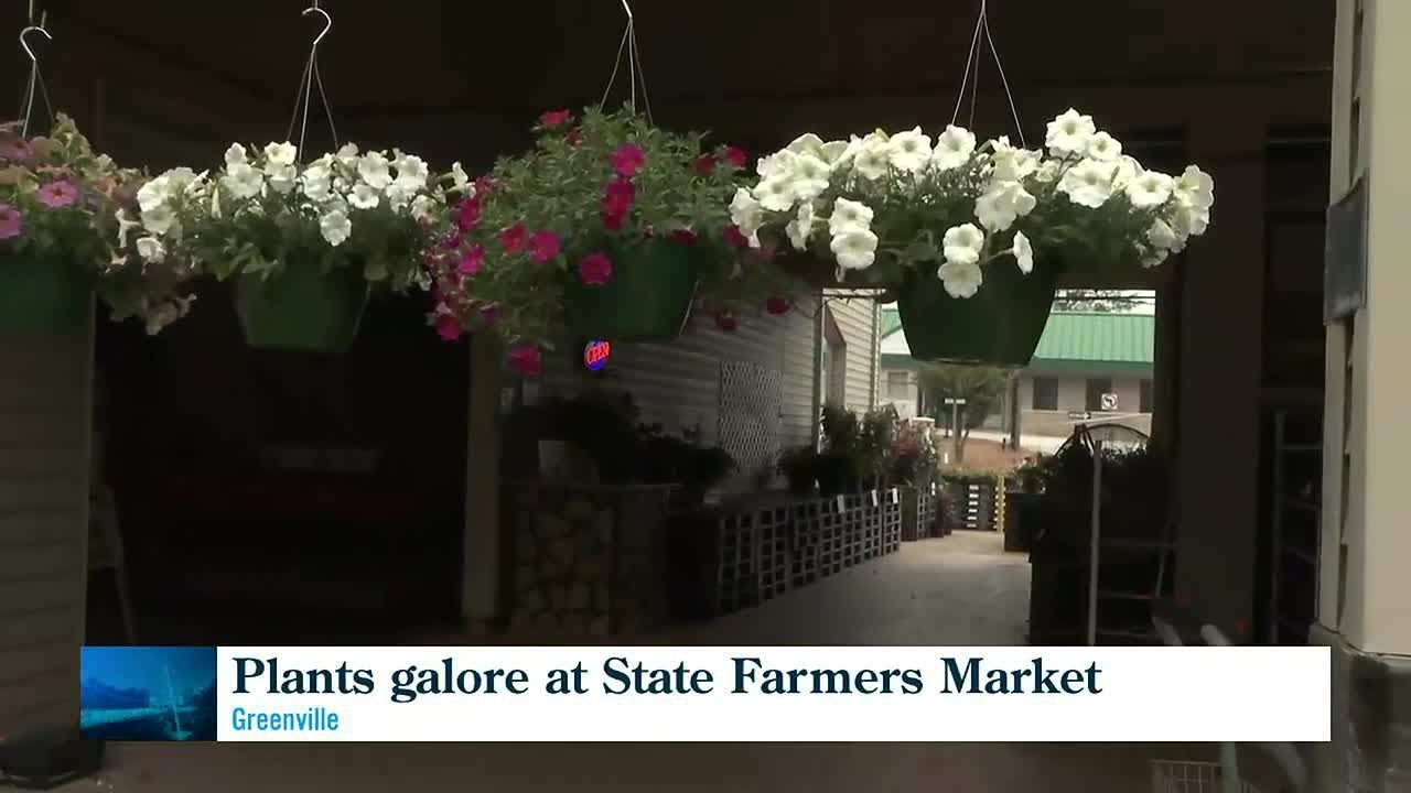 Plants Galore At Greenville State Farmer’s Market