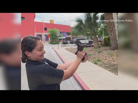 Police Officer Rescues Cat And Gives It Forever Home