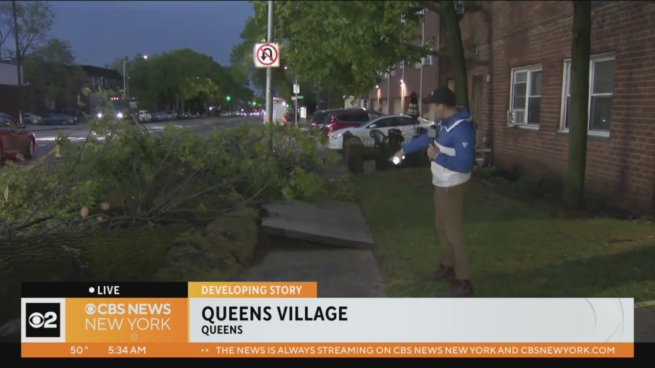 Powerful Rain Takes Down Tree In Queens