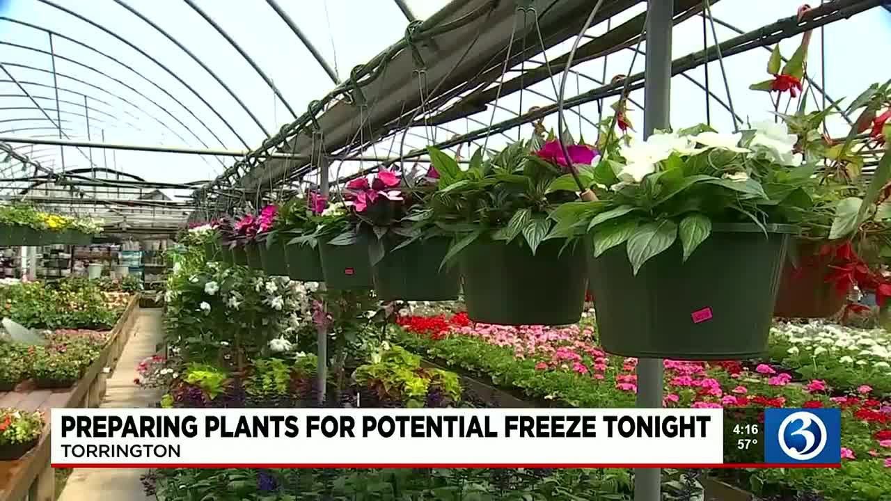 Preparing Plants For Potential Freeze Wednesday Night