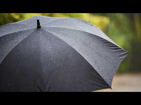 Rain On The Radar In San Antonio, Texas