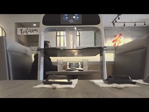 Robot Food Service Workers On The Rise