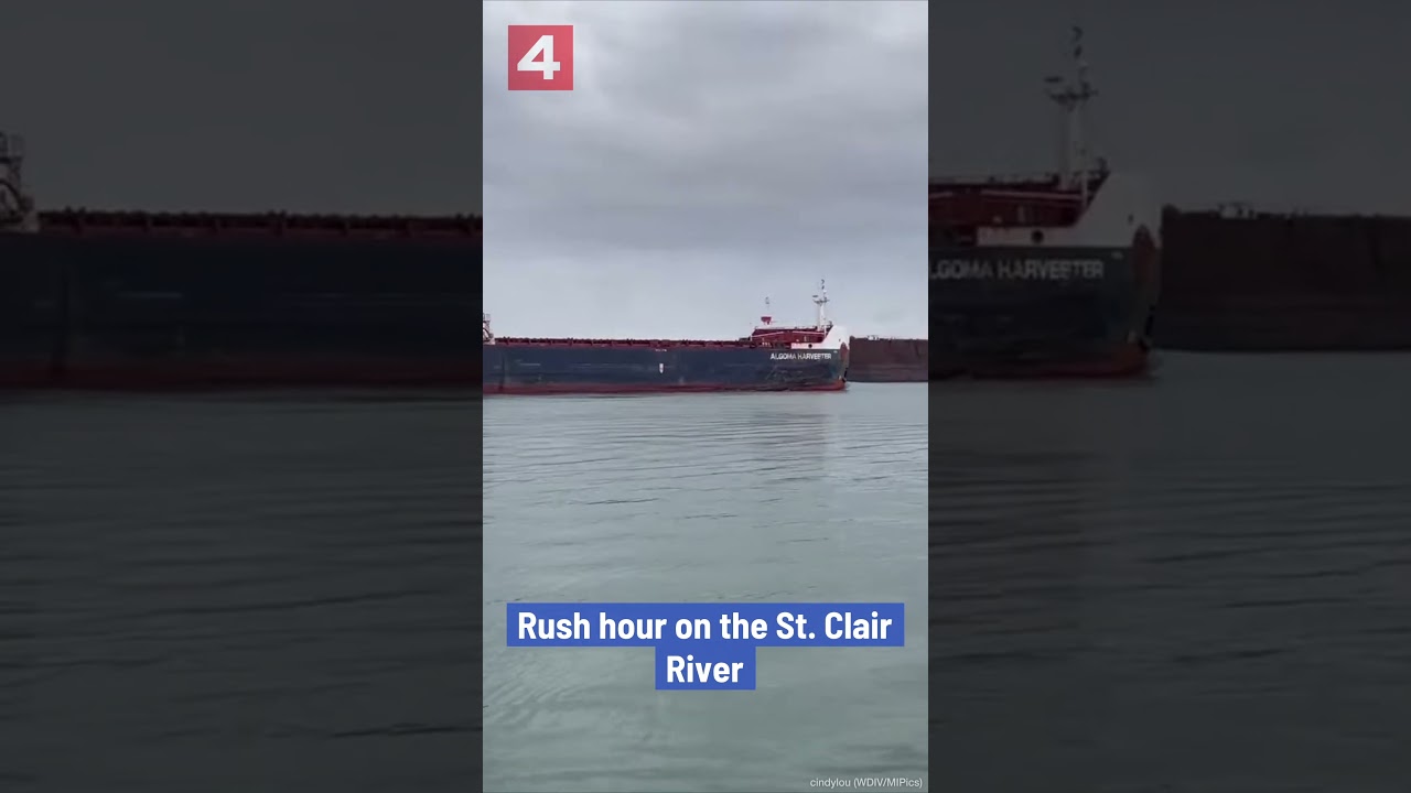 Rush Hour On The St. Clair River | Detroit News