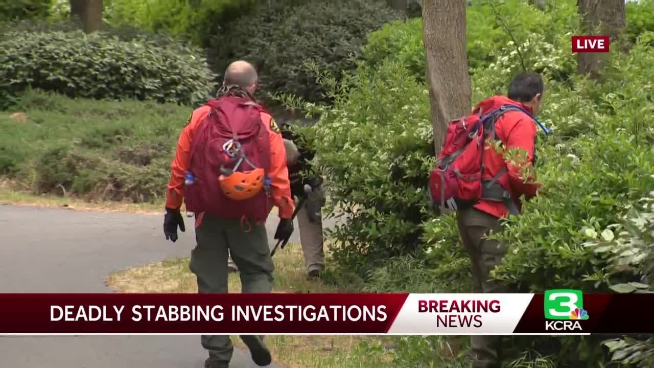 Search And Rescue Crews Stationed At Park Where Uc Davis Student Was Found Stabbed To Death