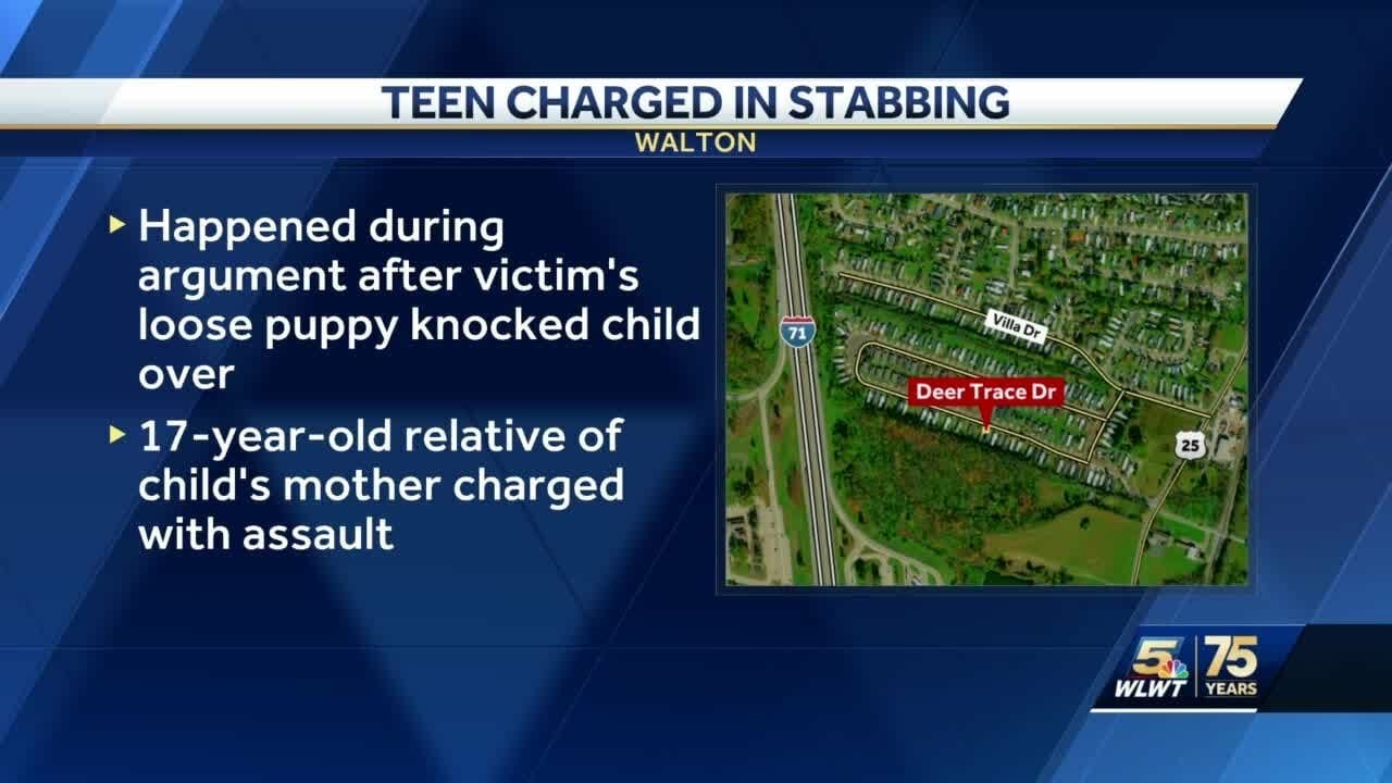 Sheriff: Teen Arrested After Argument Over Puppy Leads To Stabbing In Walton