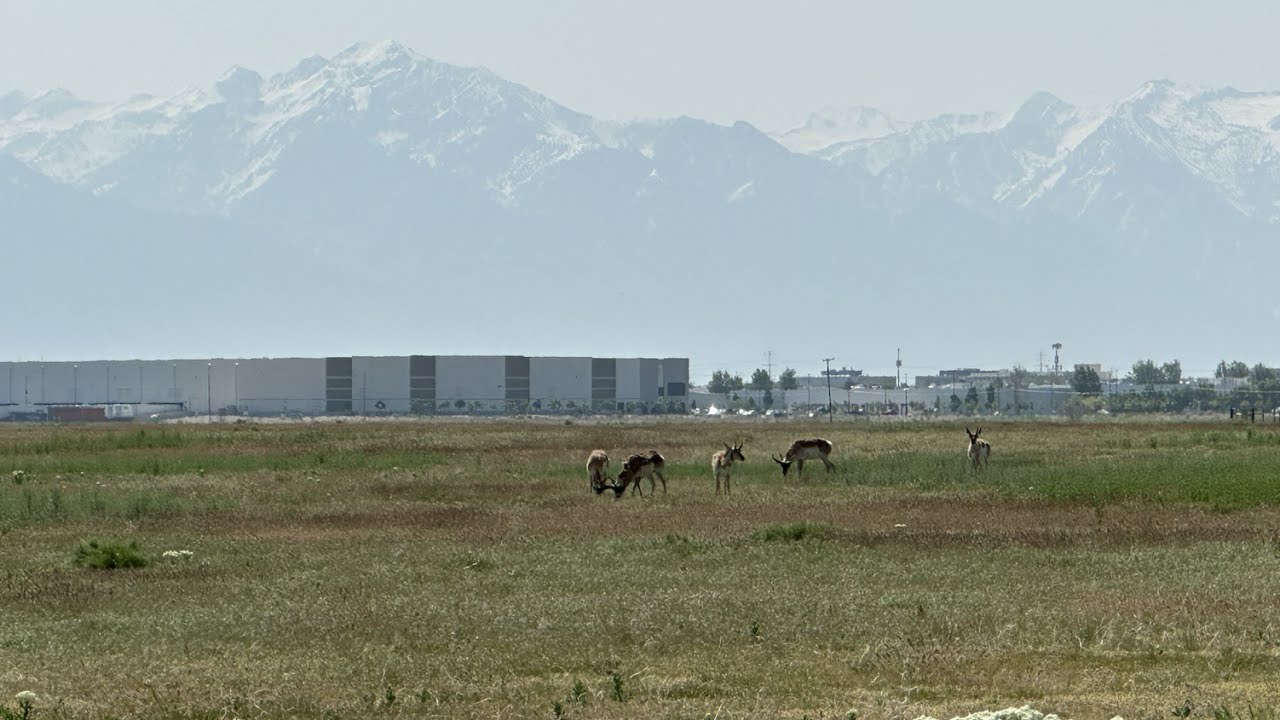 Slc Looks To Preserve A Chunk Of Great Salt Lake Land As Development Encroaches | Utah News