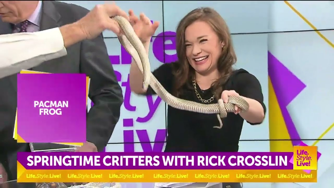 Springtime Critters With Rick Crosslin