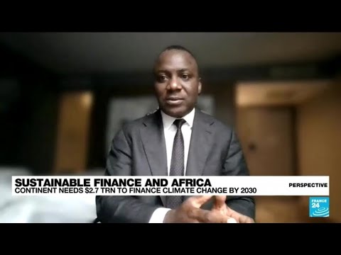 Sustainable Finance In Africa: ‘business And Sustainability Can Go Hand In Hand’ • France 24