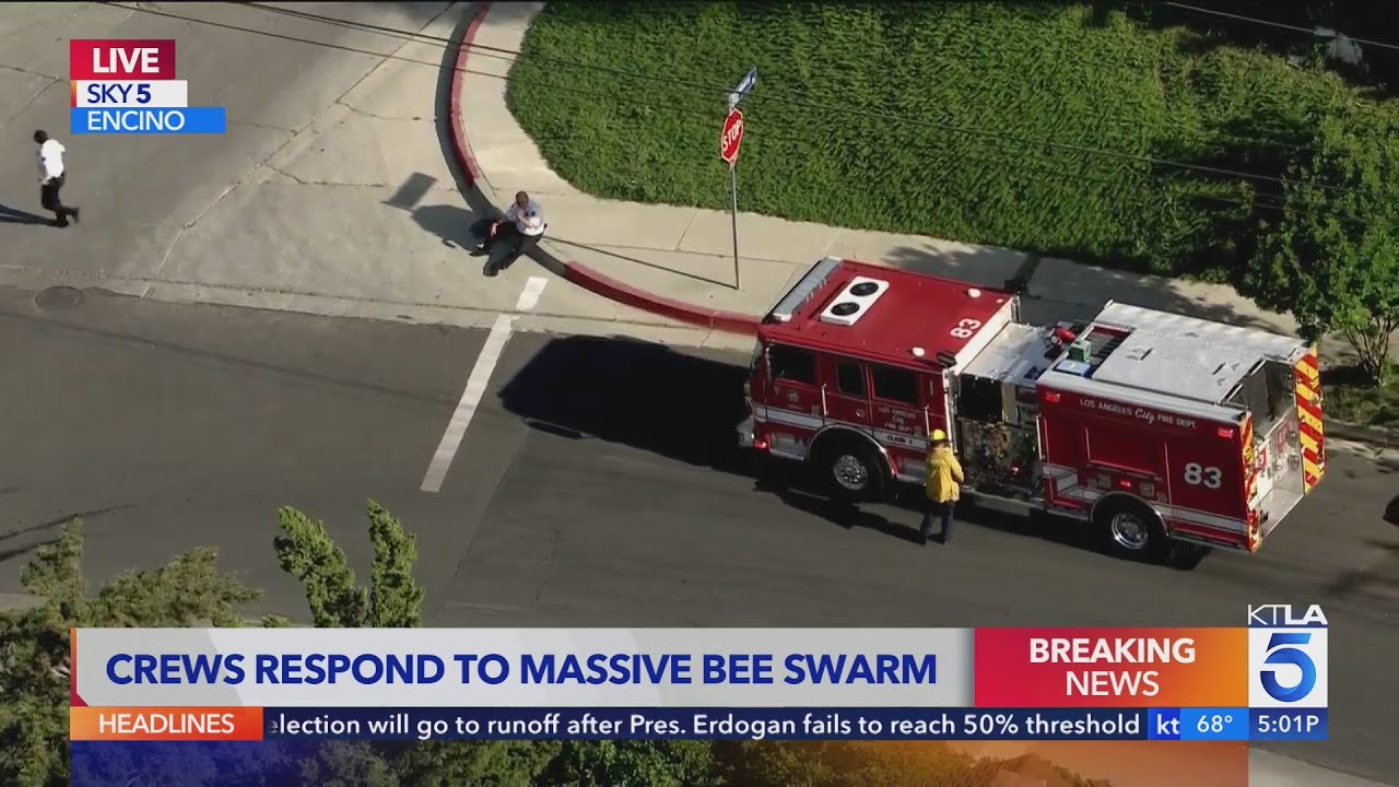 Swarm Of Bees Closes Streets In Encino; Injuries Reported