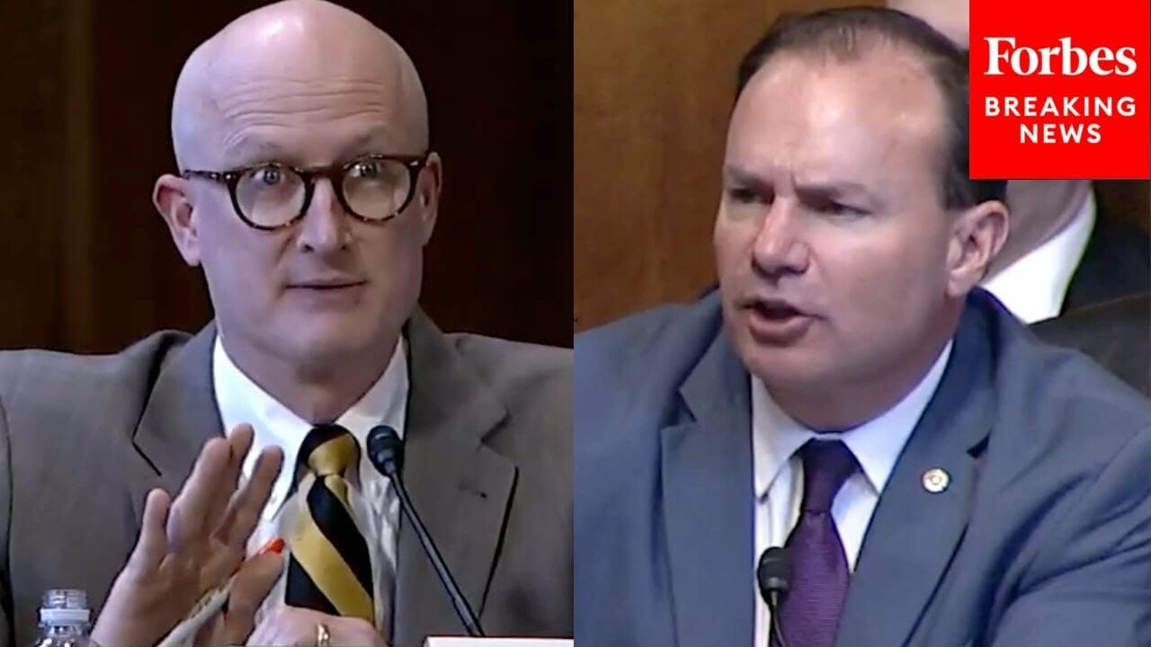 ‘that’s Part Of The Lawsuit’: Mike Lee Fires Back At Witness Defending Google