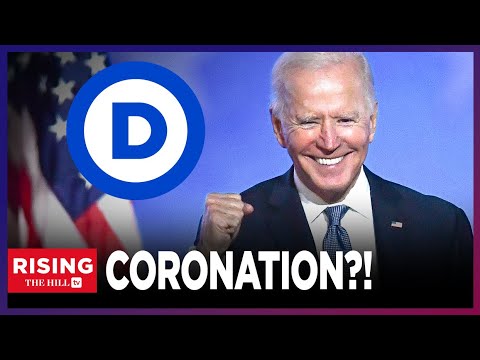 The Dnc Is ‘in The Tank’ For Biden 2024: Andrew Yang On Rising