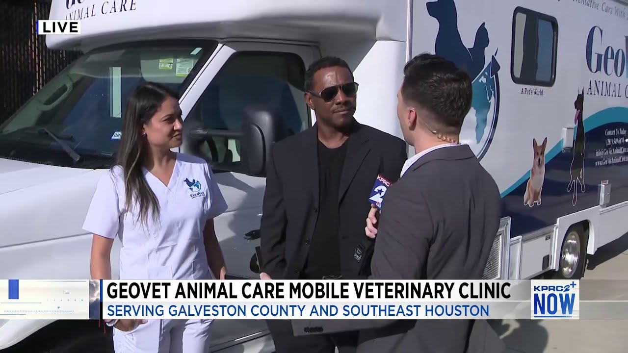 This Vet Clinic Will Treat Your Pet At Your Doorstep | Houston