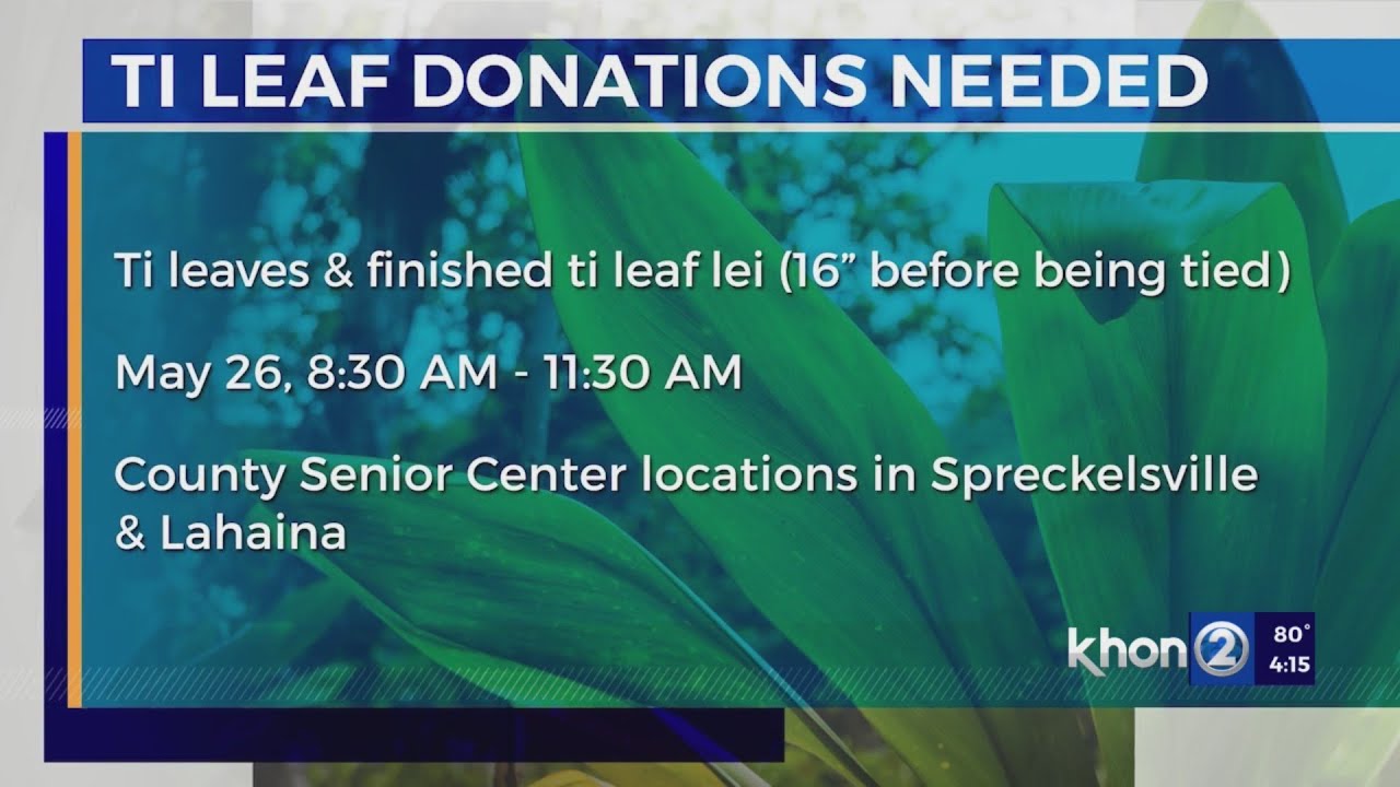 Ti Leaf Donations Needed For Memorial Day Lei