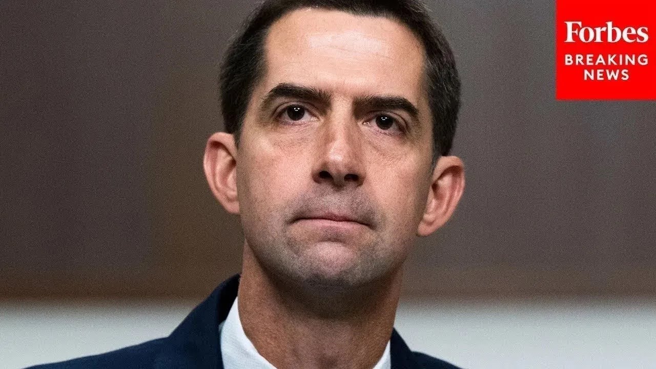 Tom Cotton Questions Military Officials About Backlog Of Weapons For Taiwan