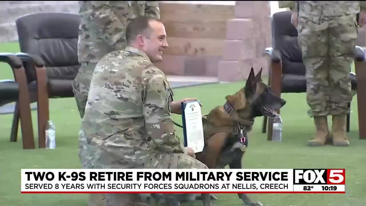 Two K 9 Section Military Dogs Headed To Retirement