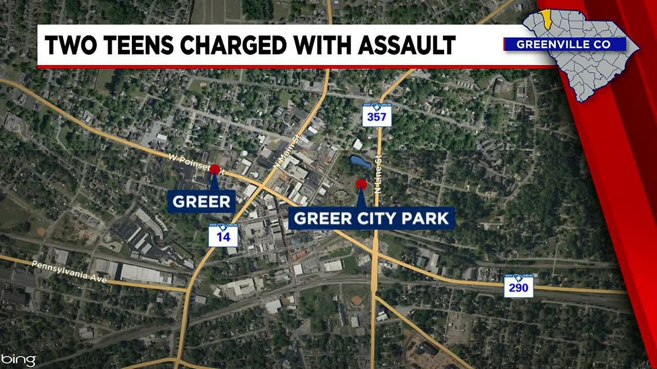 Two Teens Arrested Following Assault At Upstate Park