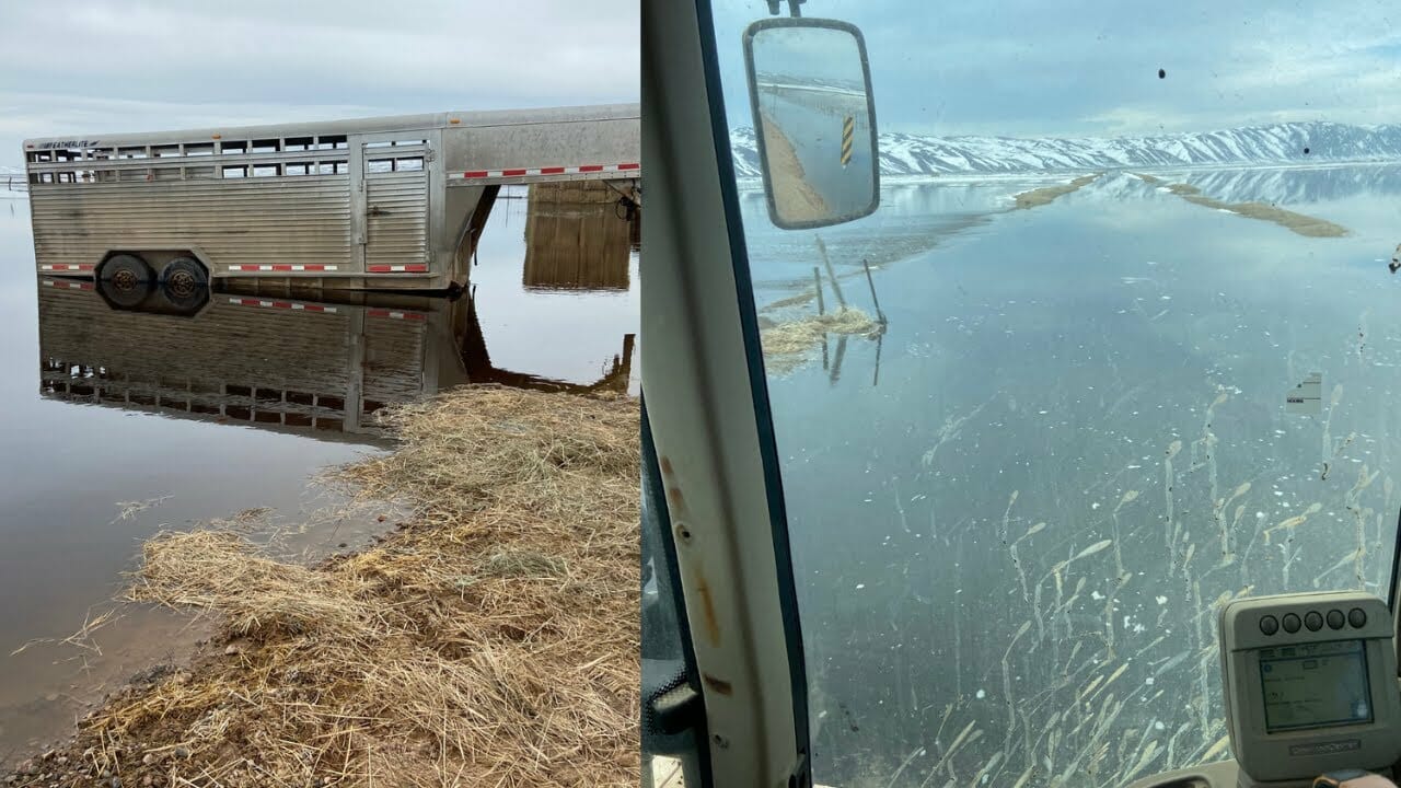 Utah Flooding Damages Land, Kills Livestock In Rich County | Utah News