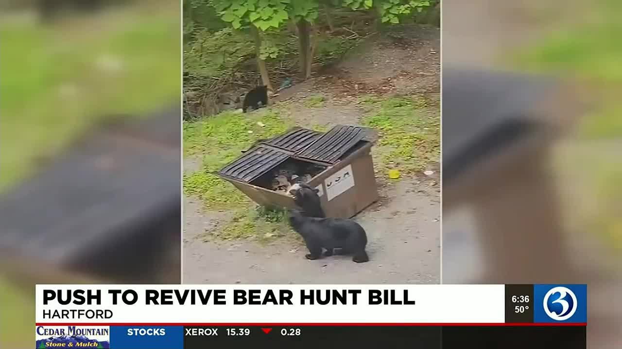 Video: Lawmakers Seek Control Growing Population Of Bears