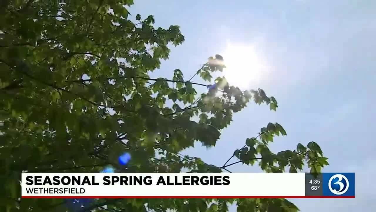 Video: Seasonal Spring Allergies