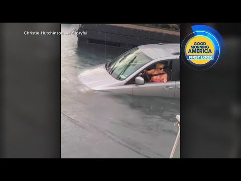 Video Shows Woman Driving Van Into Hawaiian Harbor