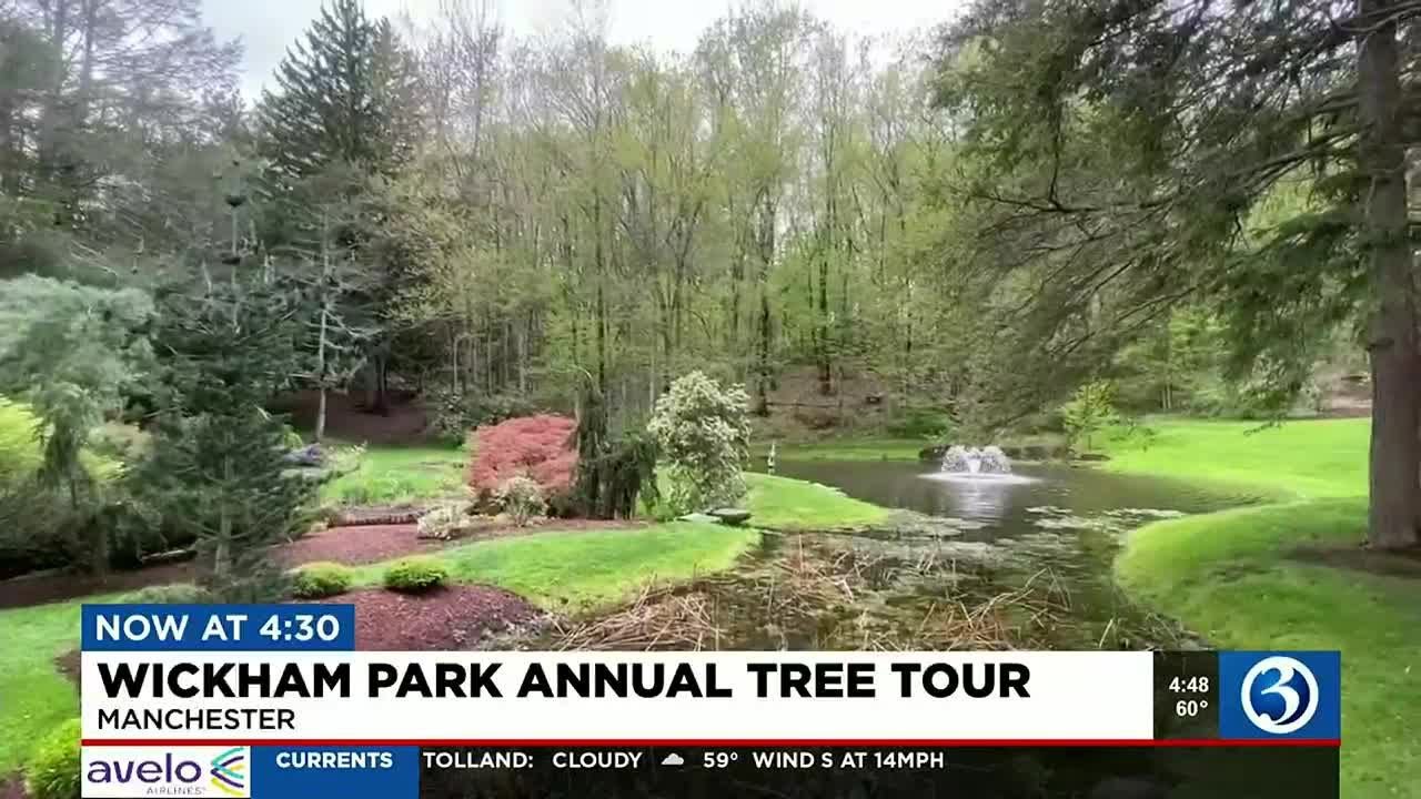 Video: Wickham Park Annual Tree Tour