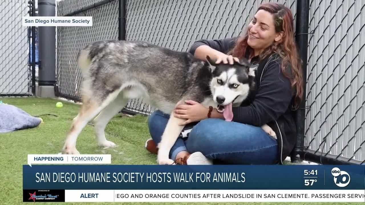 Walk For Animals Preview – No Anshors | San Diego News