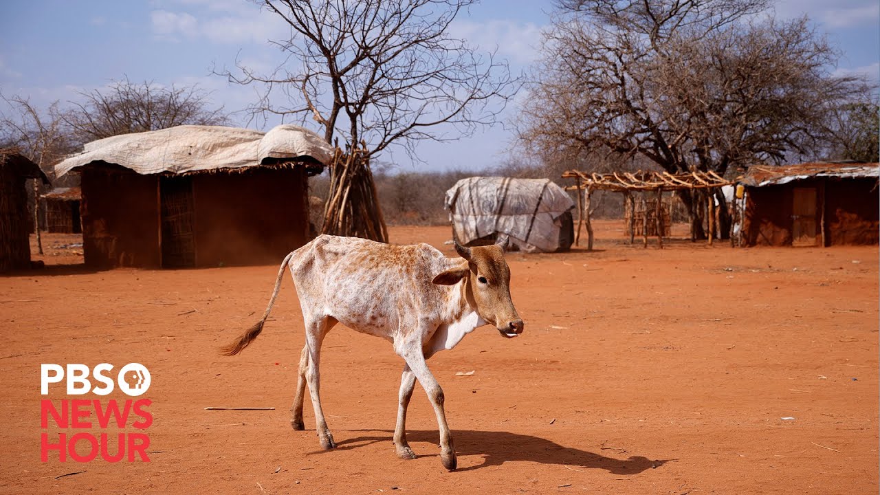 Watch Live: State Department Holds Briefing As Un Calls For Drought Aid For Horn Of Africa