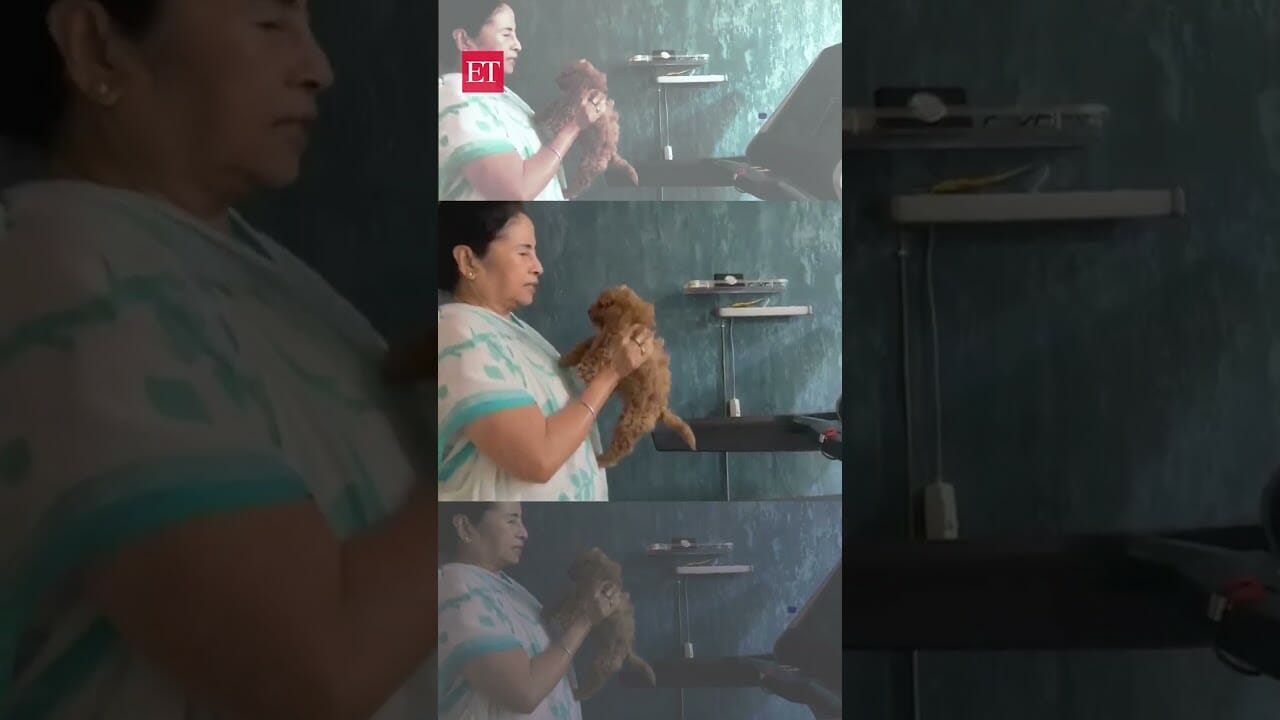 Watch: Mamata Banerjee Gives A Peek At Her Fitness Routine, Treadmill And A Puppy | Econ Times