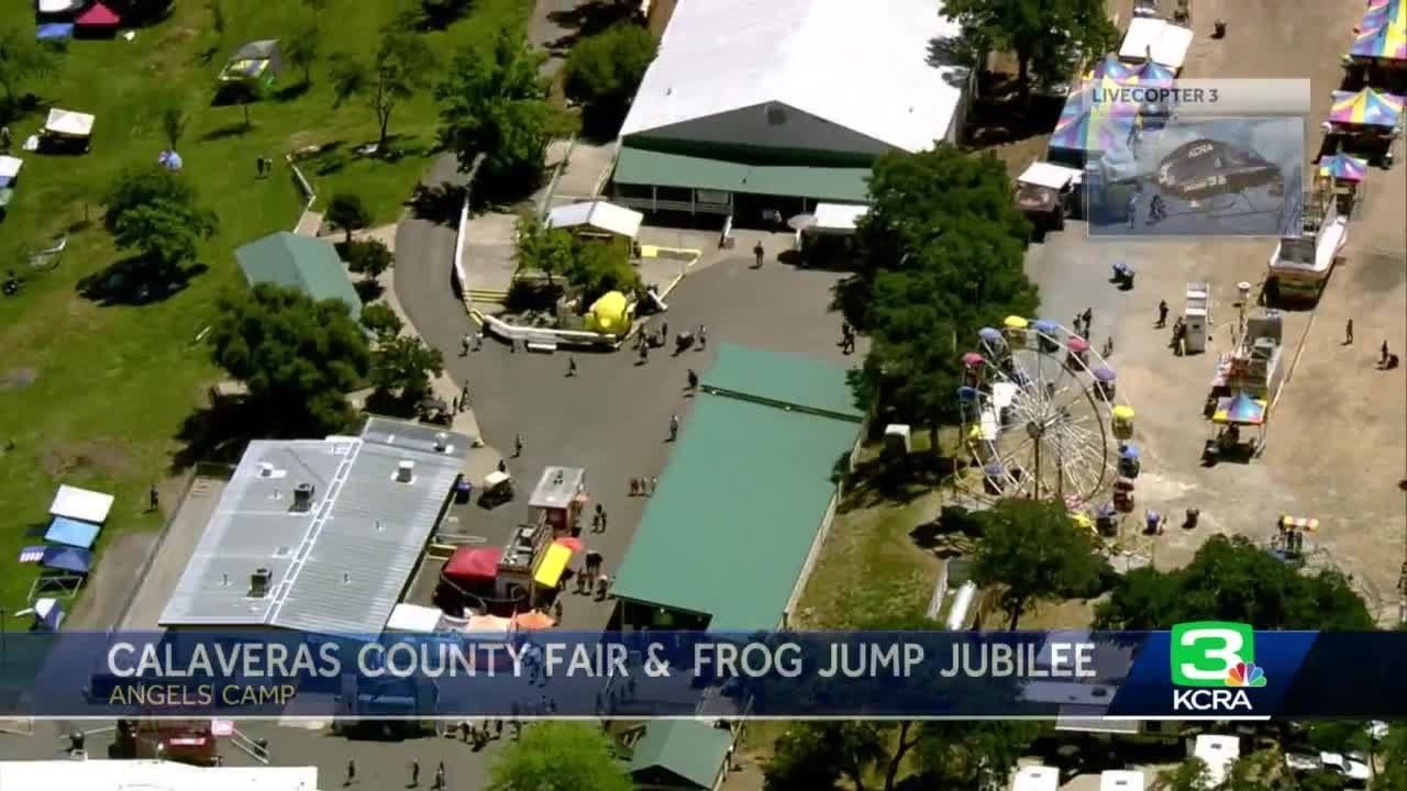 What To Know About The Calaveras County Fair And Jumping Frog Jubilee