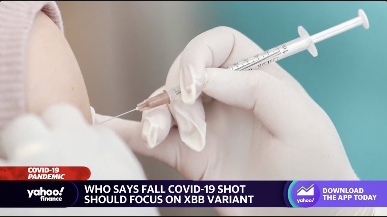 Who States Covid 19 Boosters Should Focus On Protection From Xbb Variants