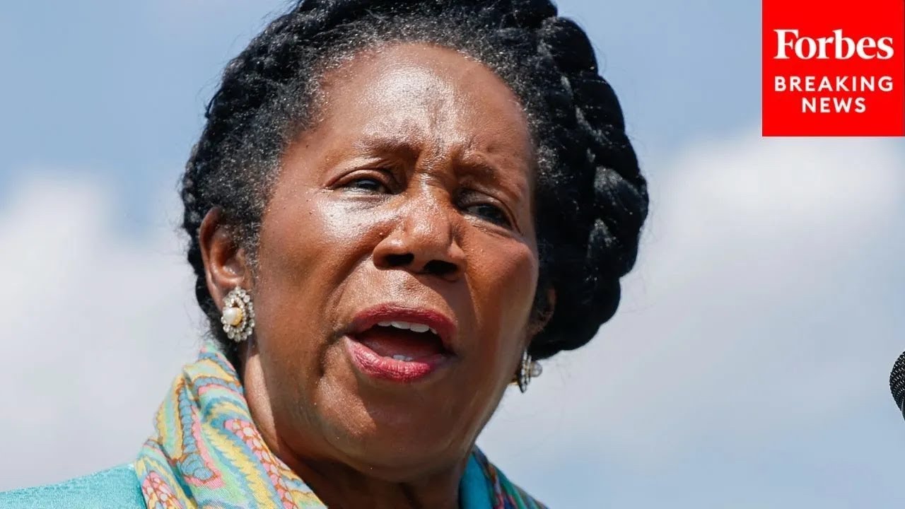 ‘why The Cruelty Of This Bill?’: Sheila Jackson Lee Decries Gop Border Bill