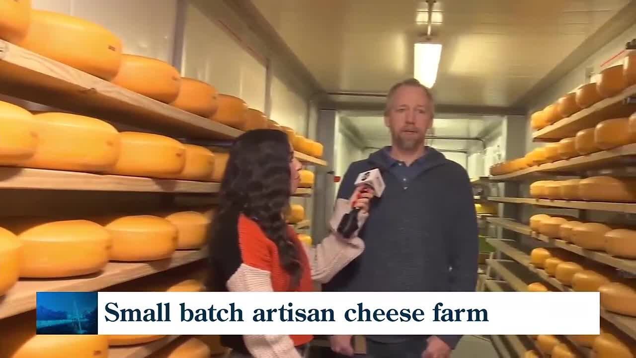 Artisan cheese farm in Anderson