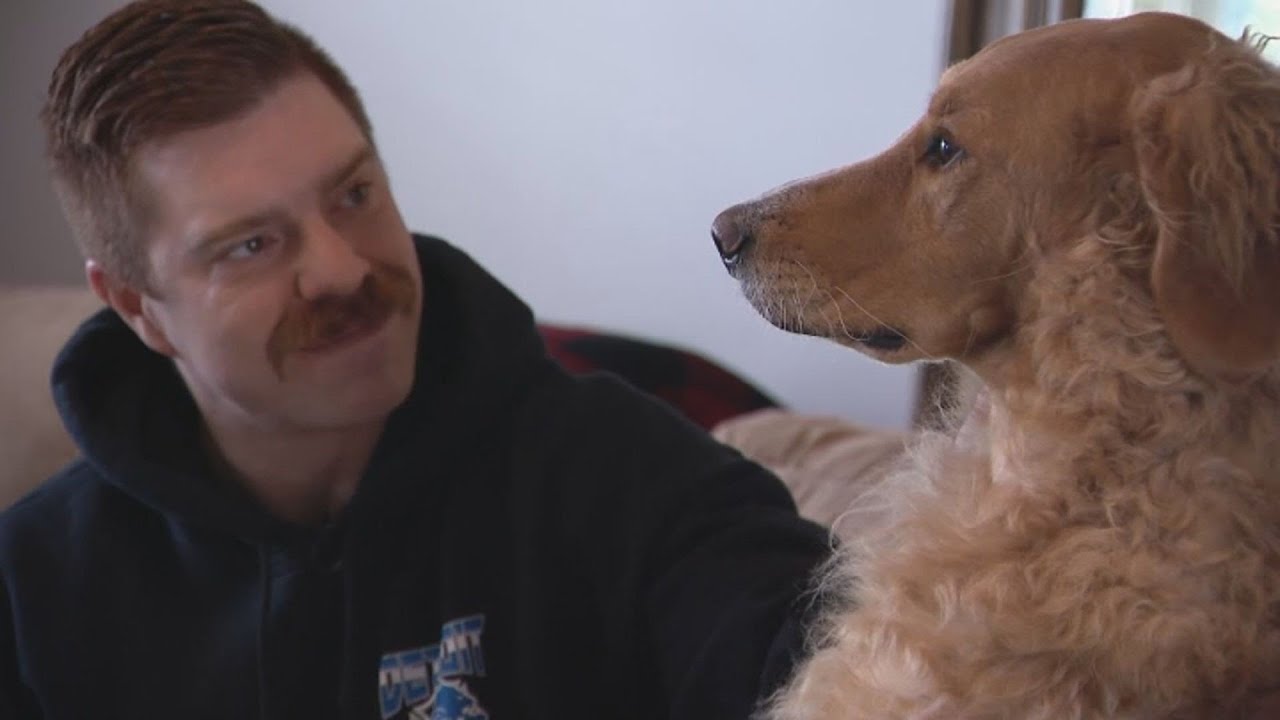 Hero dog stops Detroit firefighter’s suicide attempt | Detroit News