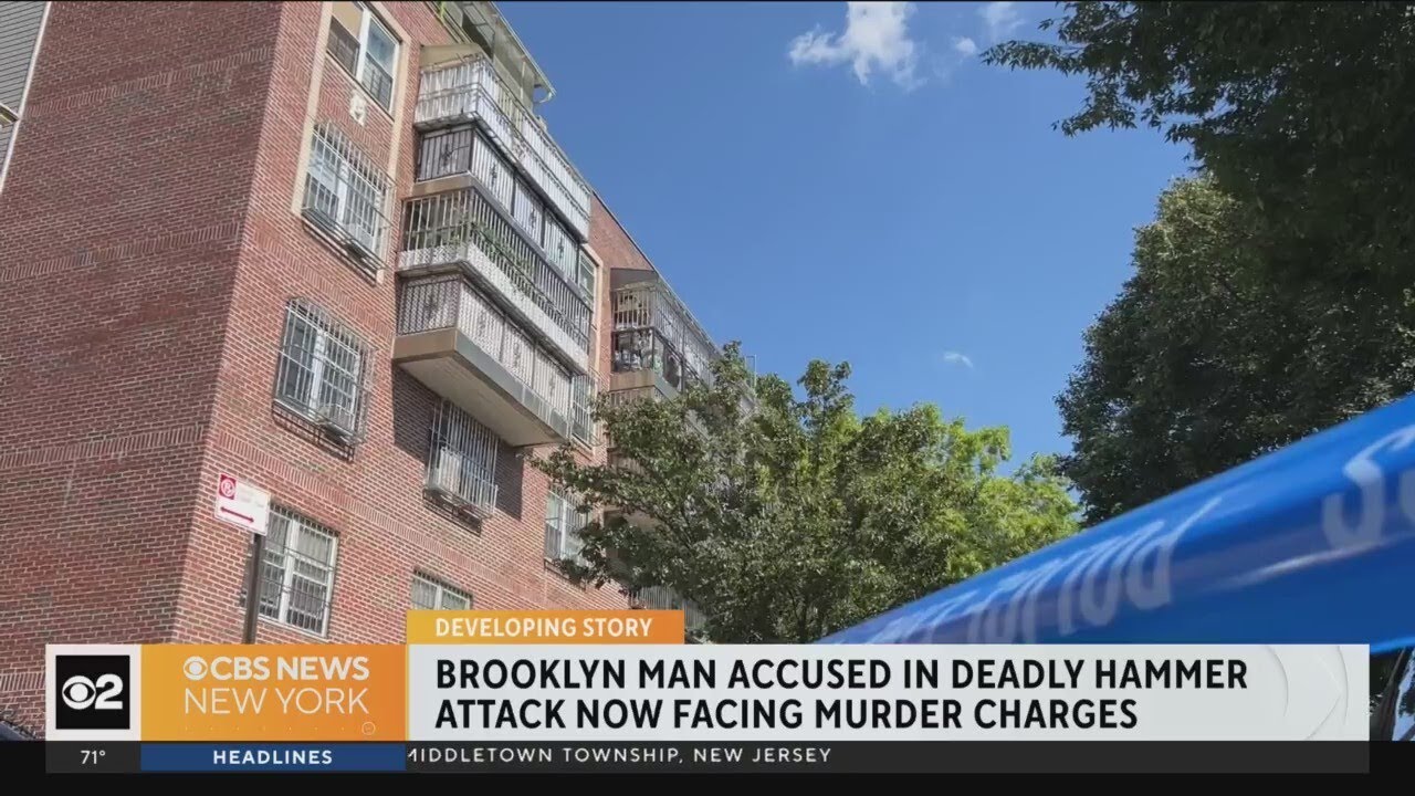 Man Charged With Stabbing Brooklyn Mother To Death, Injuring 2 Children