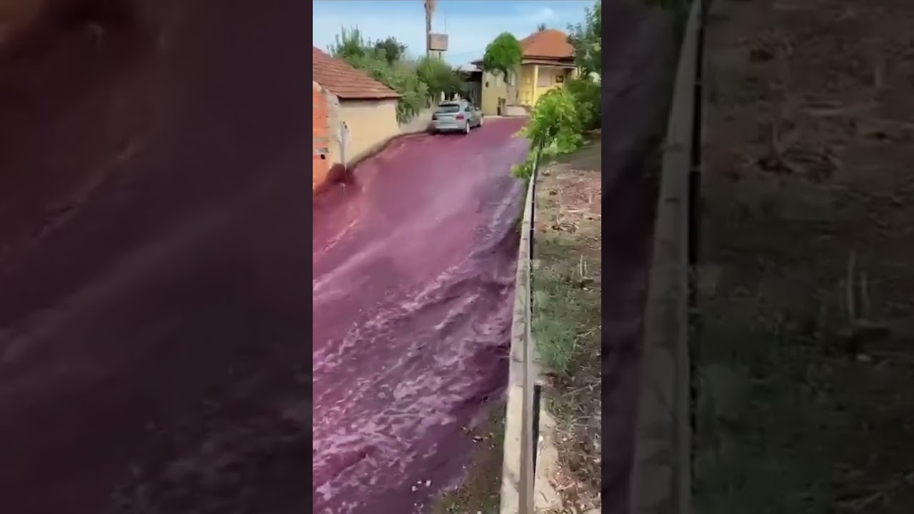 600,000 Gallons Of Red Wine Flow Through Portuguese Town After Spill #shorts