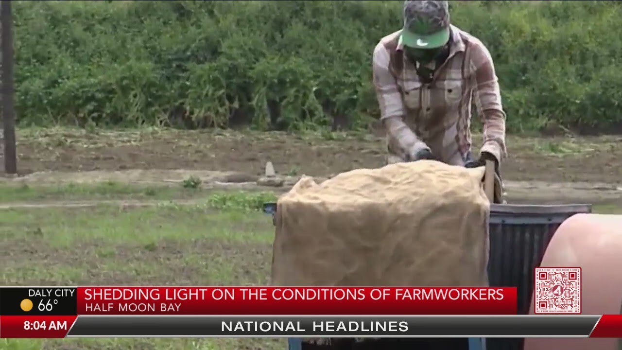 Shedding Light On The Conditions Of Half Moon Bay Farmworkers