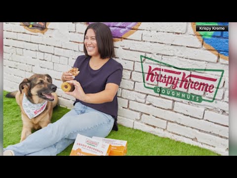 Krisy Kreme Will Sell Pup Kin Spice Doggy Doghnuts Saturday