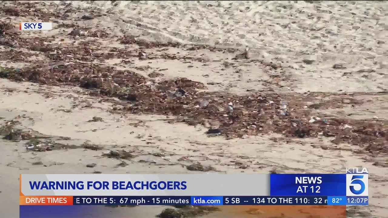 Beach Goers Asked To Stay Out Of Water