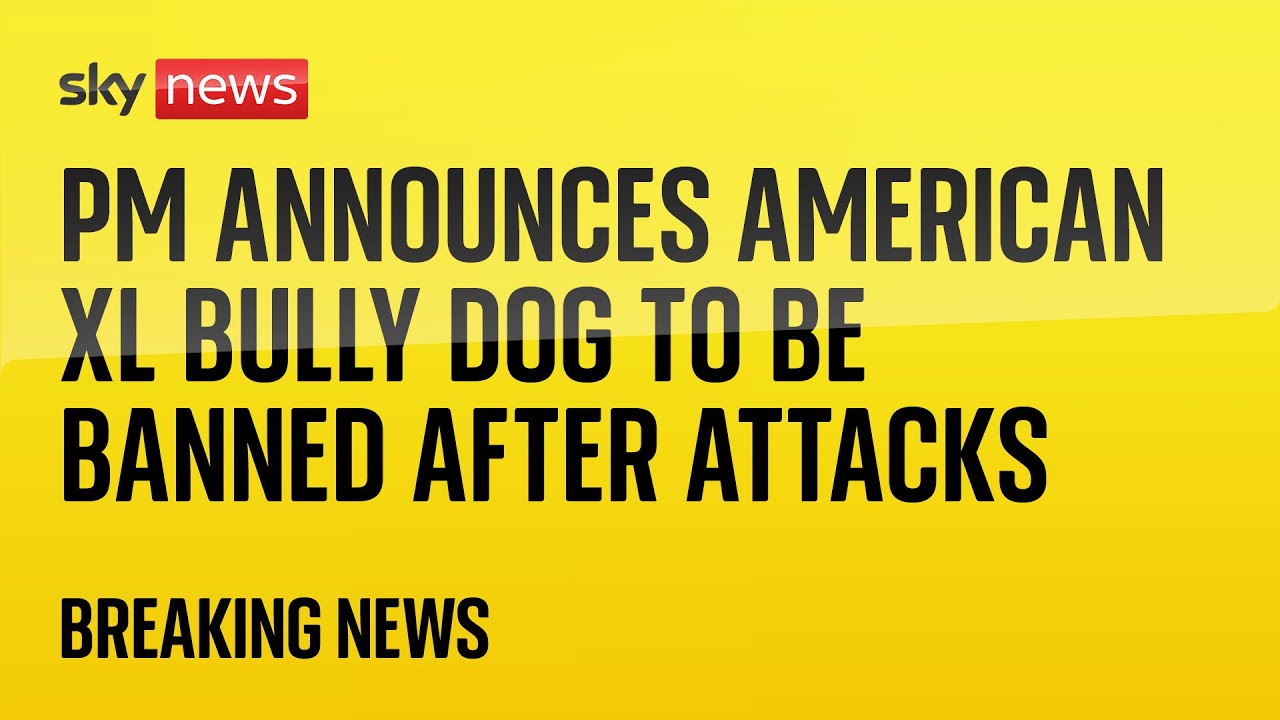 American Xl Bully Dogs To Be Banned After Attacks, Rishi Sunak Says