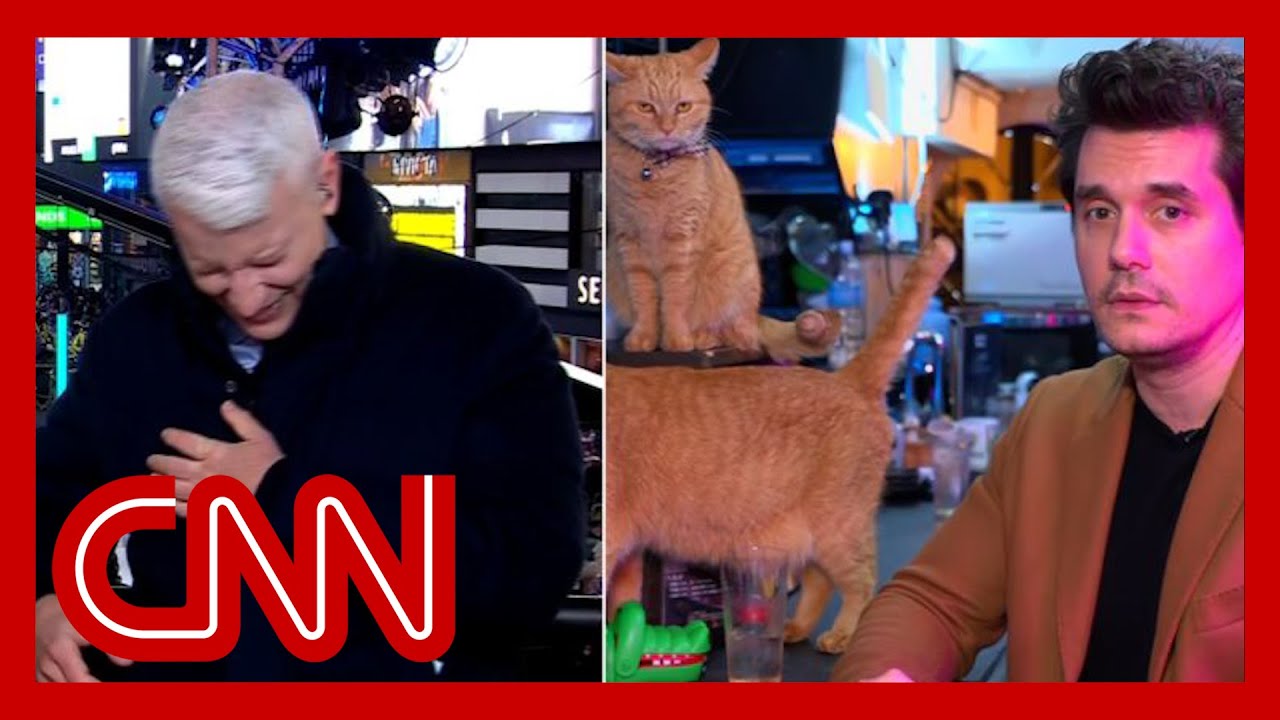 Anderson Cooper Completely Loses It As John Mayer Dials In From A Cat Bar