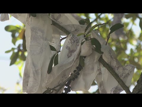 City Bans Toilet Paper As Carnival Throw But Exception Could Be Made For Tucks | New Orleans News