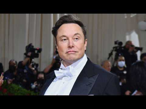 Did Elon Musk’s Alleged Drug Use Really Impact His Ability To Run Tesla And Spacex? | Spacex