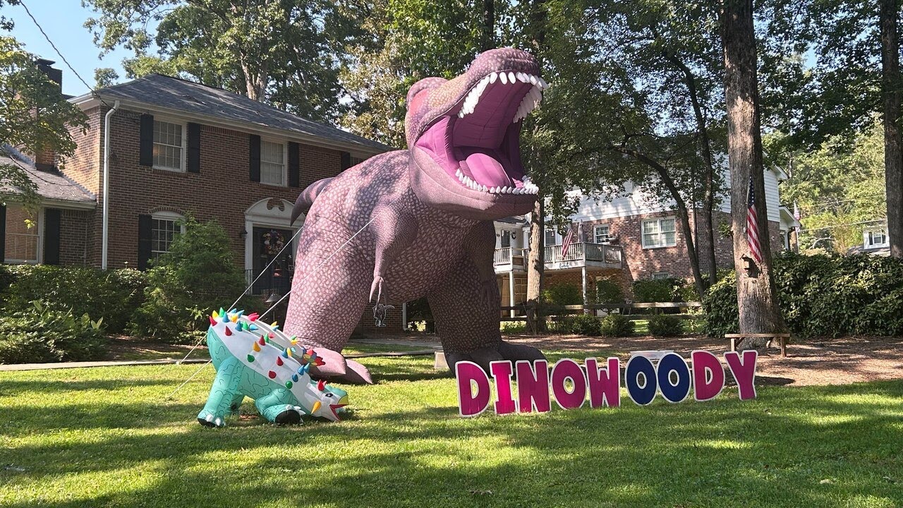 ‘dinowoody’ Prompts City Sign Code Review