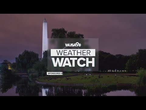 Dmv Overnight Forecast: Jan. 9, 2024–few Showers, Not As Windy